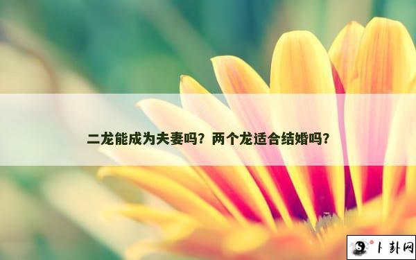 二龙能成为夫妻吗？两个龙适合结婚吗？