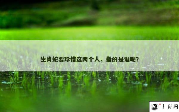 生肖蛇要珍惜这两个人，指的是谁呢？