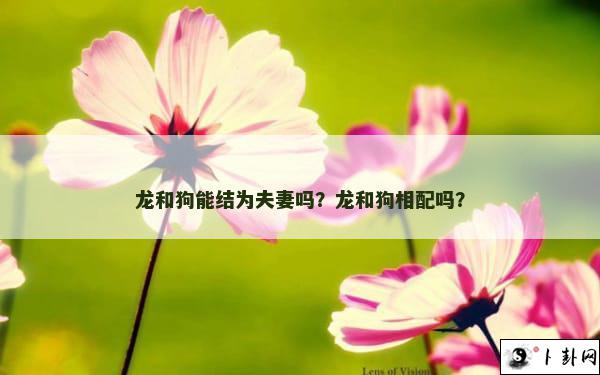 龙和狗能结为夫妻吗？龙和狗相配吗？