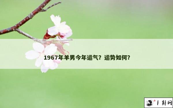 1967年羊男今年运气？运势如何？