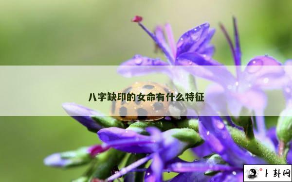 八字缺印的女命有什么特征