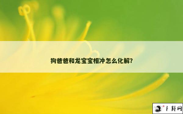 狗爸爸和龙宝宝相冲怎么化解？