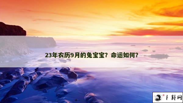 23年农历9月的兔宝宝？命运如何？