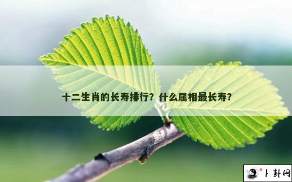 十二生肖的长寿排行？什么属相最长寿？