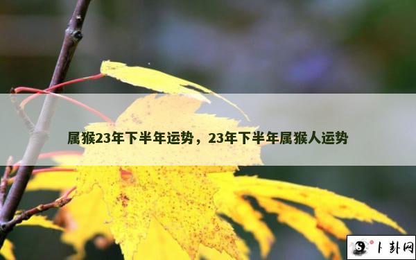 属猴23年下半年运势，23年下半年属猴人运势