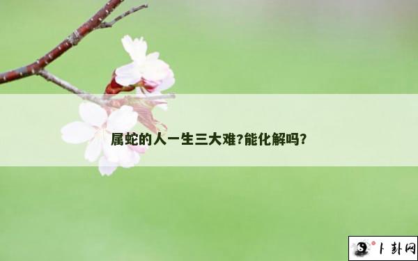 属蛇的人一生三大难?能化解吗？