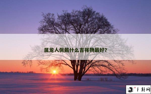 属龙人佩戴什么吉祥物最好？