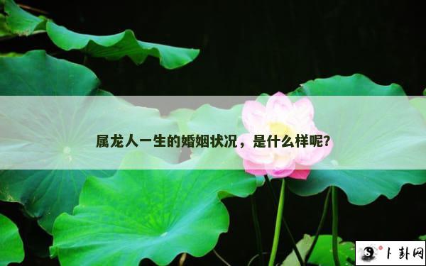 属龙人一生的婚姻状况，是什么样呢？