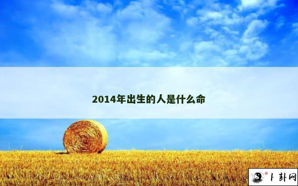 2014年出生的人是什么命