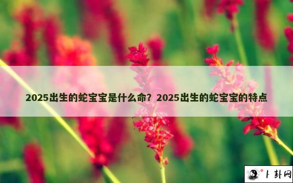 2025出生的蛇宝宝是什么命？2025出生的蛇宝宝的特点