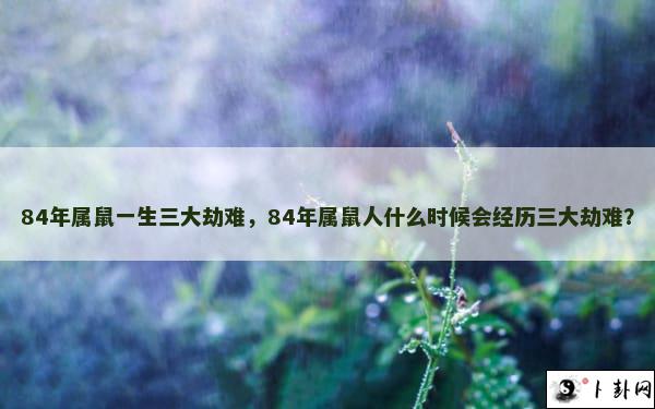 84年属鼠一生三大劫难，84年属鼠人什么时候会经历三大劫难？