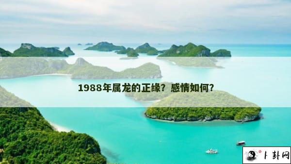 1988年属龙的正缘？感情如何？