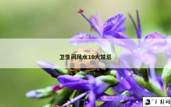 卫生间风水10大禁忌