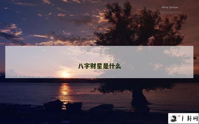 八字财星是什么