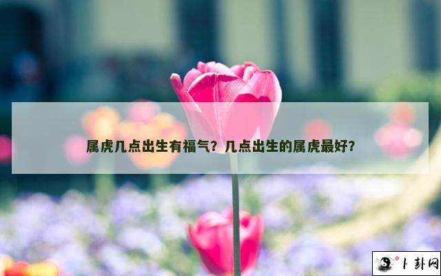 属虎几点出生有福气？几点出生的属虎最好？