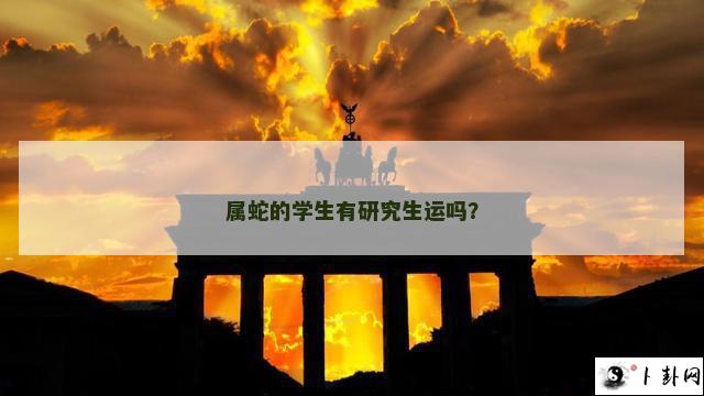 属蛇的学生有研究生运吗？