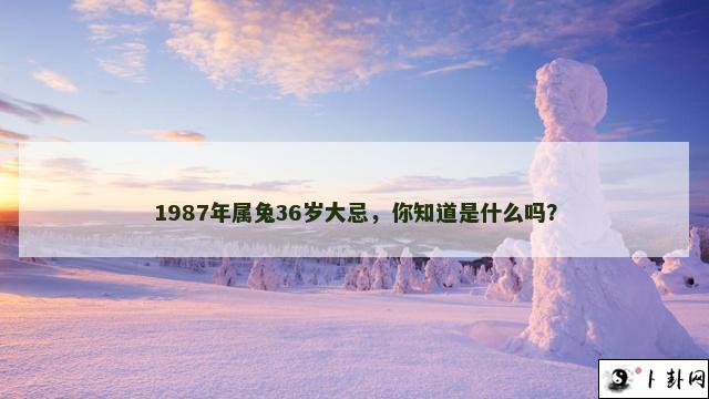 1987年属兔36岁大忌，你知道是什么吗？