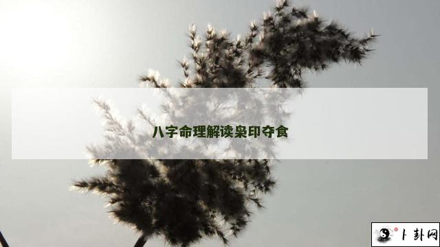 八字命理解读枭印夺食
