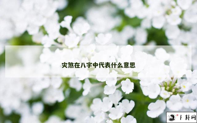 b型血女人的性格特点 B型血女生性格解析