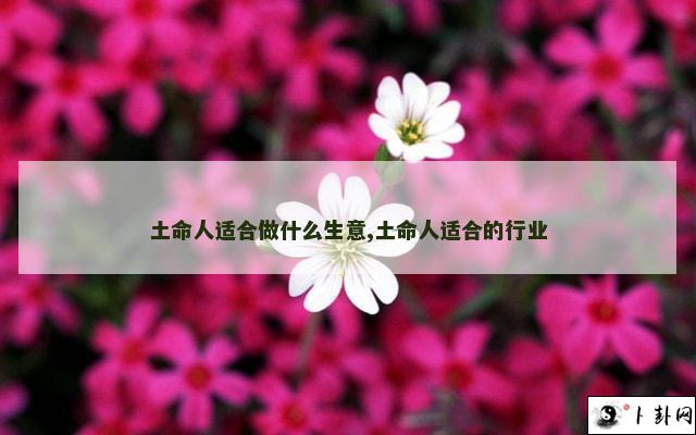 b型血女人的性格特点 B型血女生性格解析