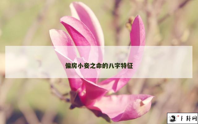 b型血女人的性格特点 B型血女生性格解析