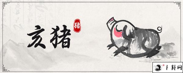 生肖猪2月份运势2025