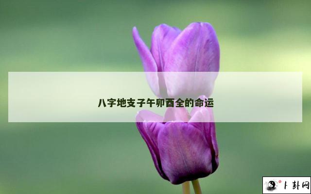 b型血女人的性格特点 B型血女生性格解析