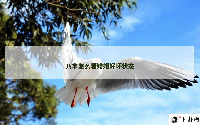 八字怎么看婚姻好坏状态