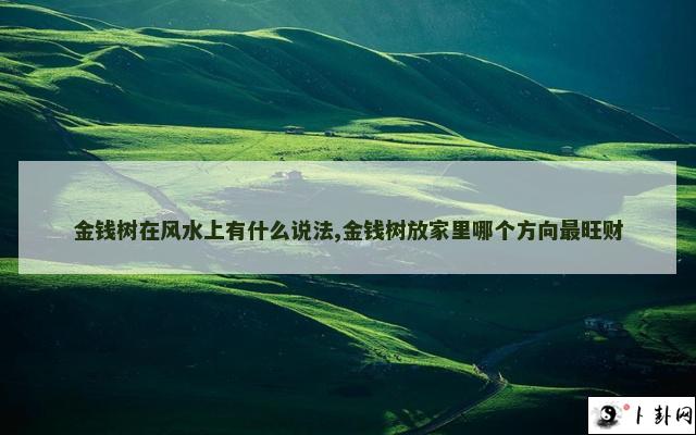 金钱树在风水上有什么说法,金钱树放家里哪个方向最旺财