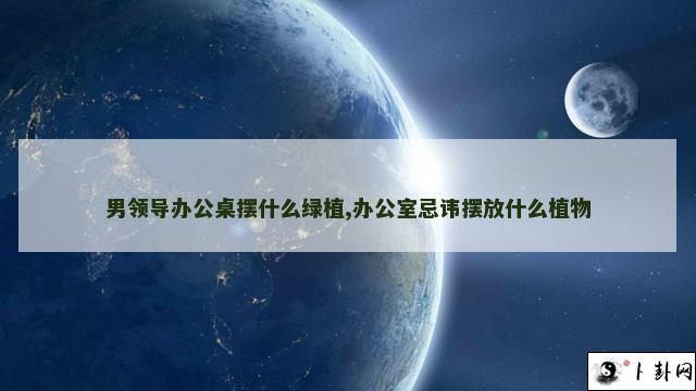 男领导办公桌摆什么绿植,办公室忌讳摆放什么植物