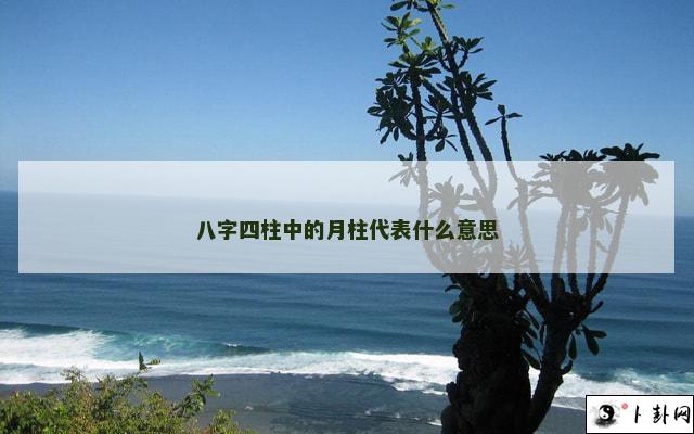 八字四柱中的月柱代表什么意思