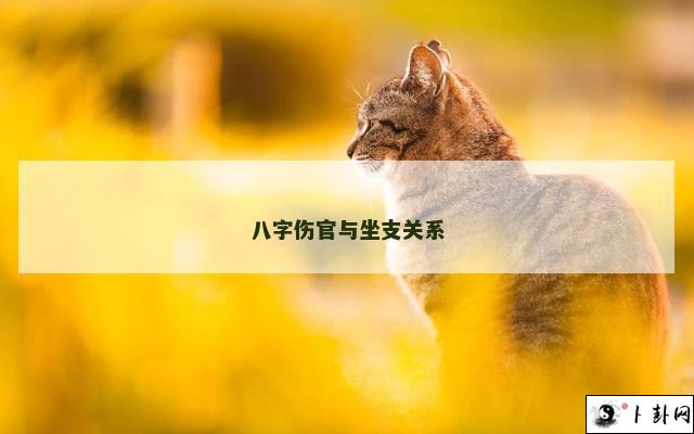 b型血女人的性格特点 B型血女生性格解析