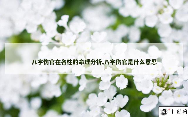 b型血女人的性格特点 B型血女生性格解析