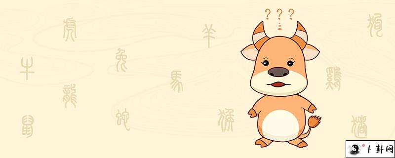 2-牛.jpg