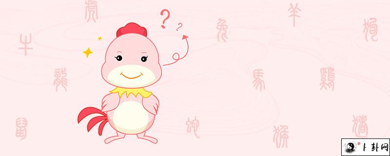 10-鸡.jpg