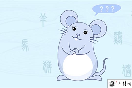 1-老鼠_副本.jpg