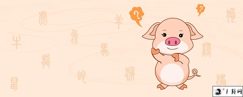 12-猪.jpg