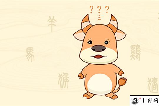 2-牛_副本.jpg
