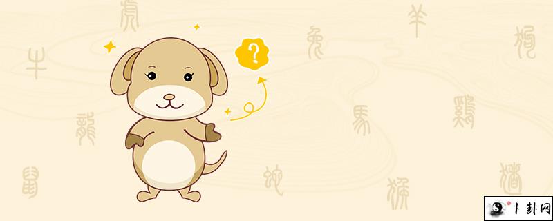 11-狗.jpg