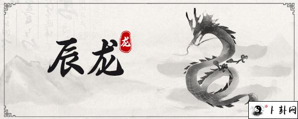属龙人适合养什么花