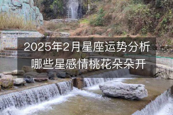 2025年2月星座运势分析 哪些星感情桃花朵朵开