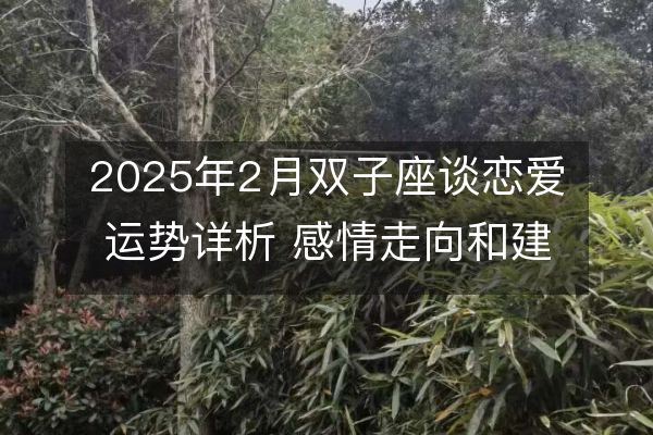 2025年2月双子座谈恋爱运势详析 感情走向和建议