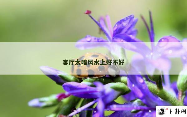 客厅太暗风水上好不好