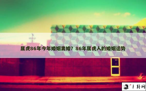 属虎86年今年婚姻离婚？86年属虎人的婚姻运势