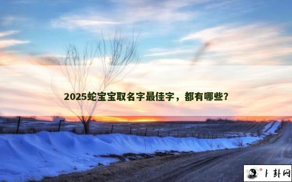 2025蛇宝宝取名字最佳字，都有哪些？