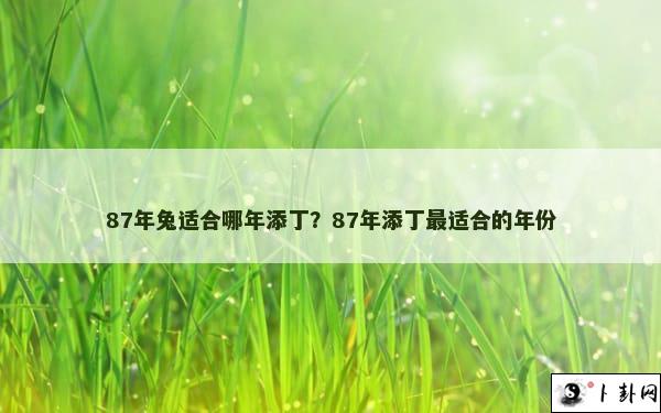 87年兔适合哪年添丁？87年添丁最适合的年份