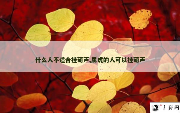 什么人不适合挂葫芦,属虎的人可以挂葫芦