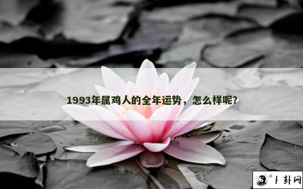 1993年属鸡人的全年运势，怎么样呢？