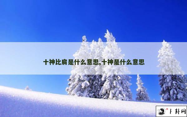 十神比肩是什么意思,十神是什么意思