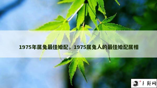 1975年属兔最佳婚配，1975属兔人的最佳婚配属相